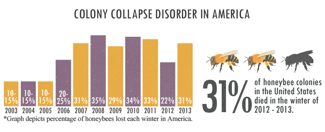 Bring Back The Bees - Colony Collapse Disorder In America Trend