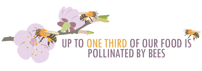 Bring Back The Bees - One Third of Our Food Is Pollinated by Bees Quote Graphic