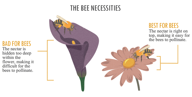 Bring Back The Bees - Better for Bee Flower Comparison