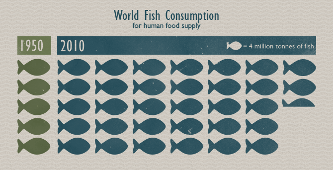 Sustainable Seafood - World Fish Consumption For Human Food Supply
