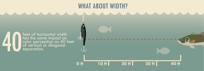 What About Width?