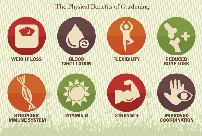 Gardening The Wonderdrug - Physical Health Benefits of Gardening