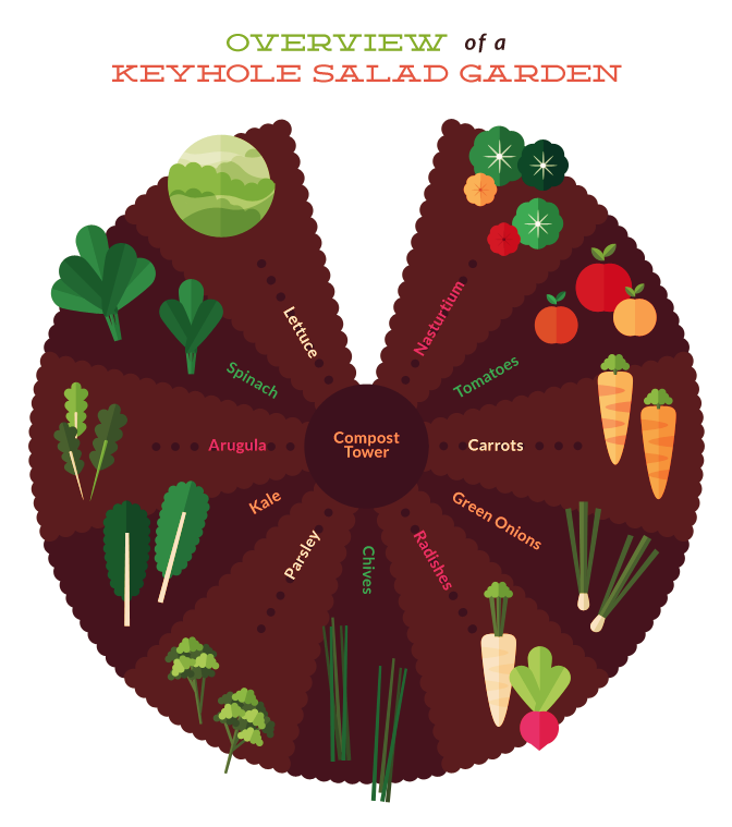 Overview of a Keyhole Salad Garden