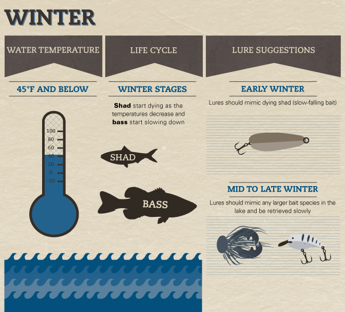 Seasonal Bass Baiting - Guide to Bass Fishing in Winter