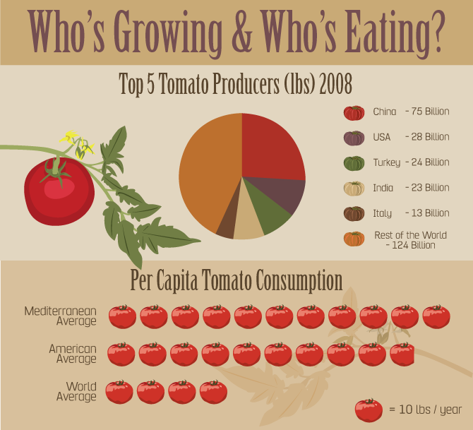 How Many Tomatoes Do We Eat?Global Tomato Consumption Chart - Largest Producers and Consumers
