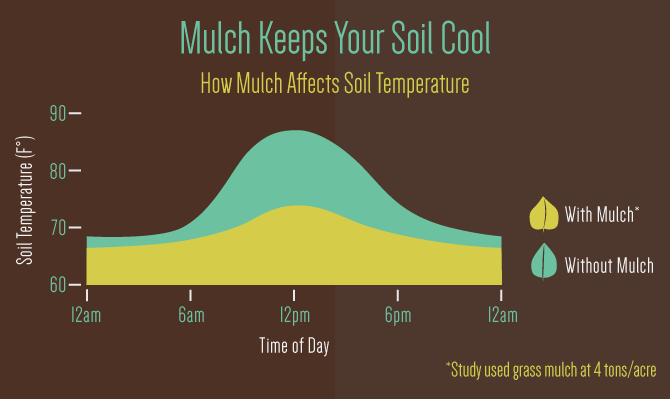 Gardening with Mulch - Soil Temperature
