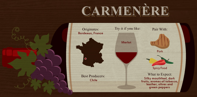 Carmenère: The Chilean Alternative to Merlot