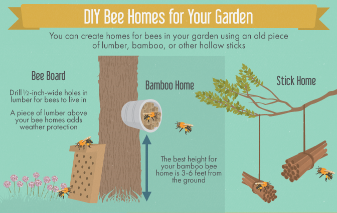 Creating a Bee-Friendly Garden - Creating Homes for Your Honeybees