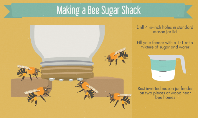 Creating a Bee-Friendly Garden - Creating a DIY Mason Jar Feeder for your Bees