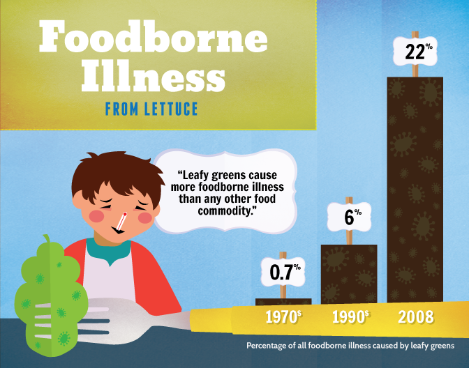 Foodborne Illness | Growing Your Own Salad Greens