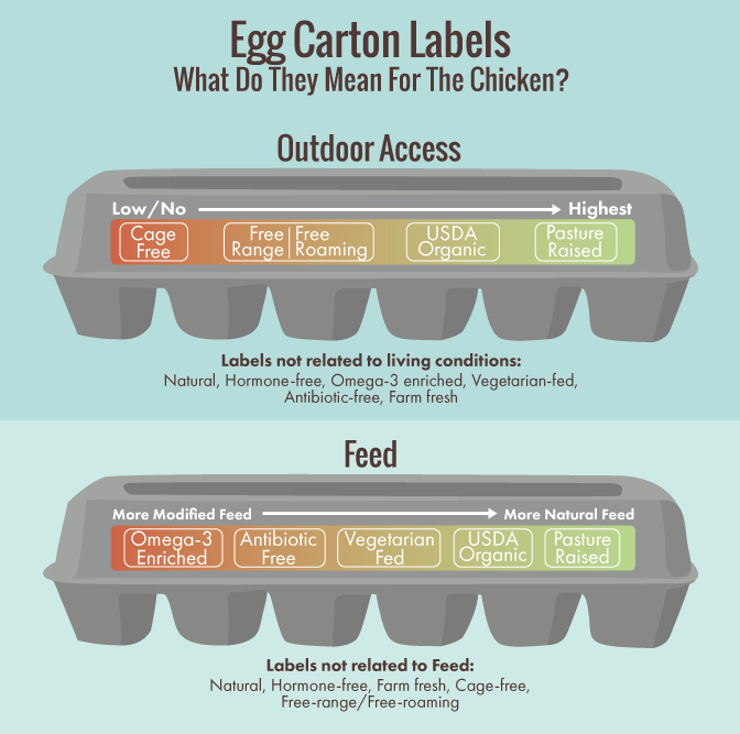 Egg Carton Labels: What Do They Mean for the Chicken?
