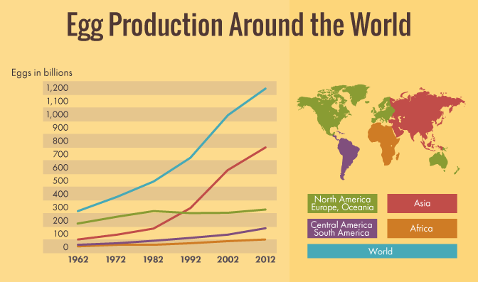 Egg Carton Labeling: Egg Production Around the World
