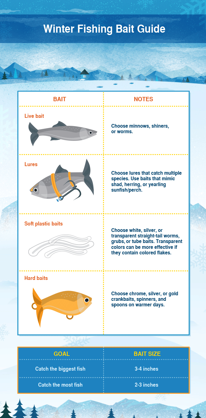 Winter Fishing Tips - Choosing the Best Bait