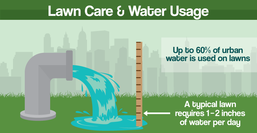 A Greener Lawn: Urban Water Usage for Lawn Care