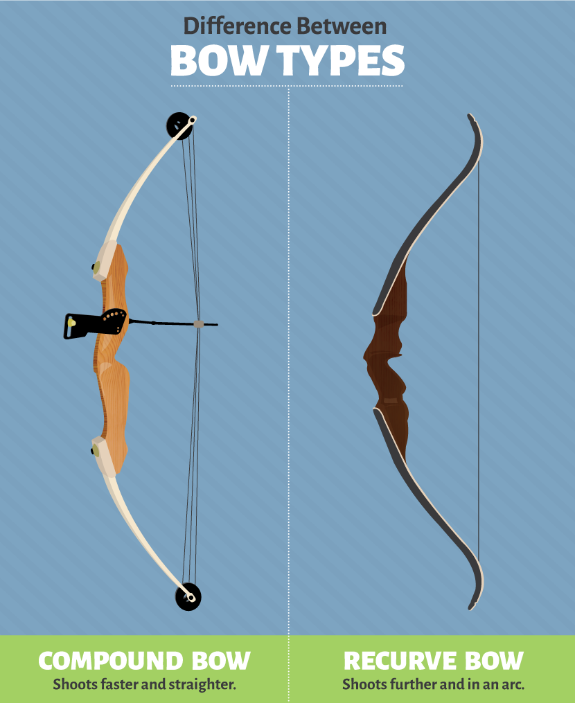 Recurve and Compound Bow Traits