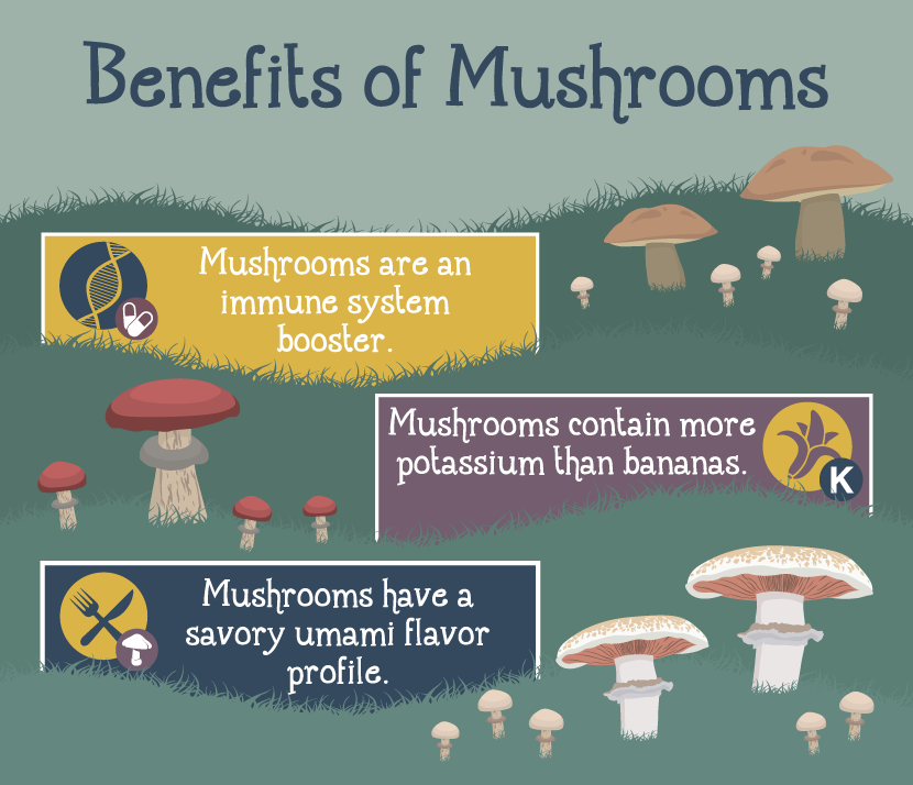 Growing Mushrooms at Home: The Benefits of Mushrooms