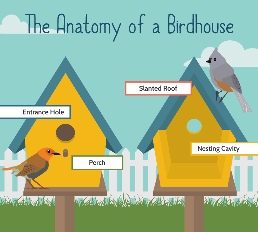The Anatomy of a Birdhouse