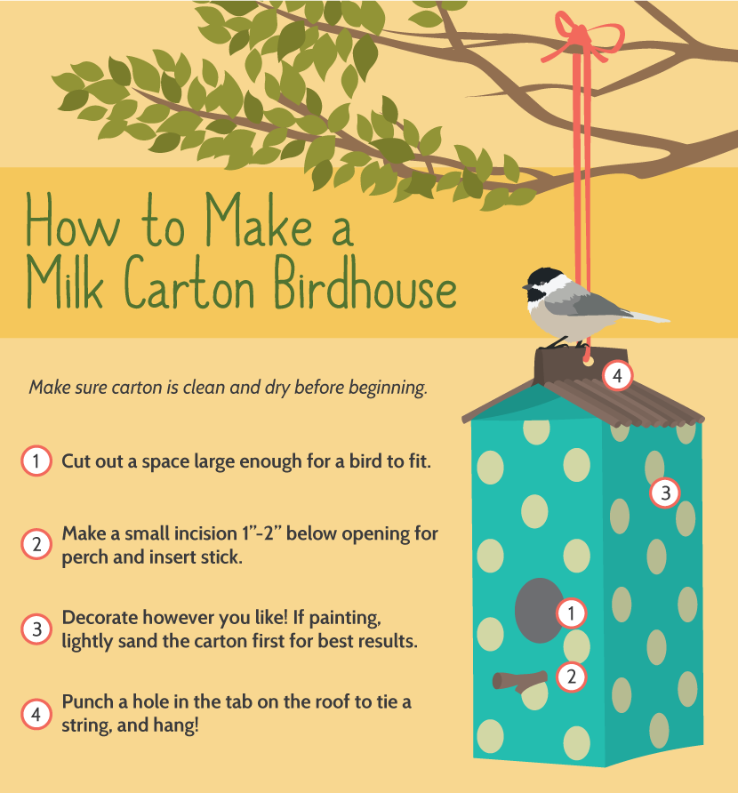 Building a Milk Carton Birdhouse