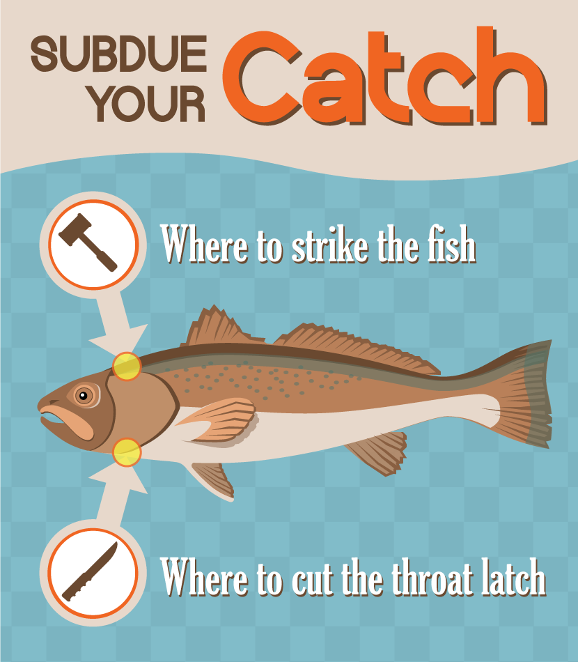 Subdue Your Catch - Hook to Cook