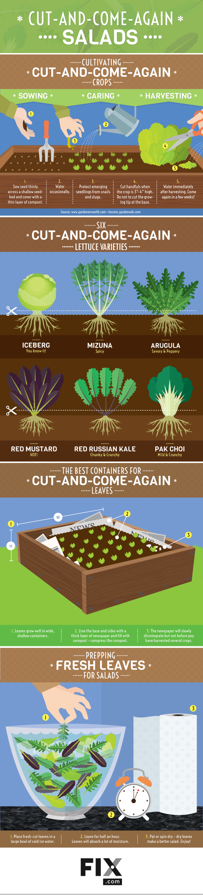 Cut-and-Come-Again Salads #infographic