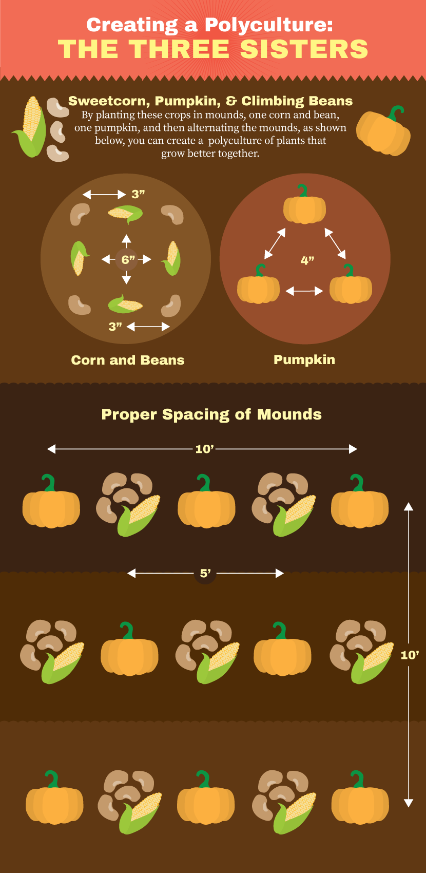 Perennial Plants for Your Garden: Polyculture of Three Sister Plants - Corn, Pumpkin, and Beans