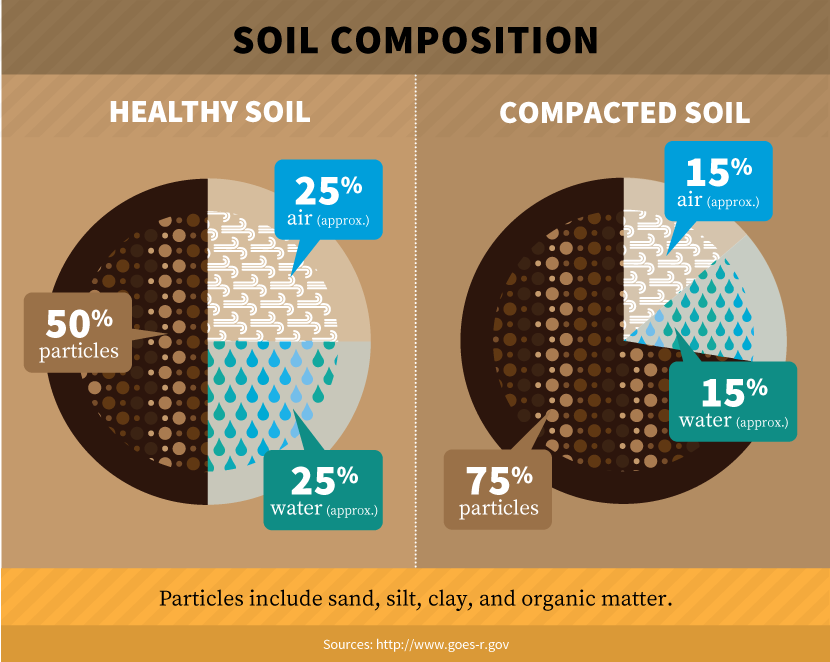 Drought Proofing Your Property: Soil Composition