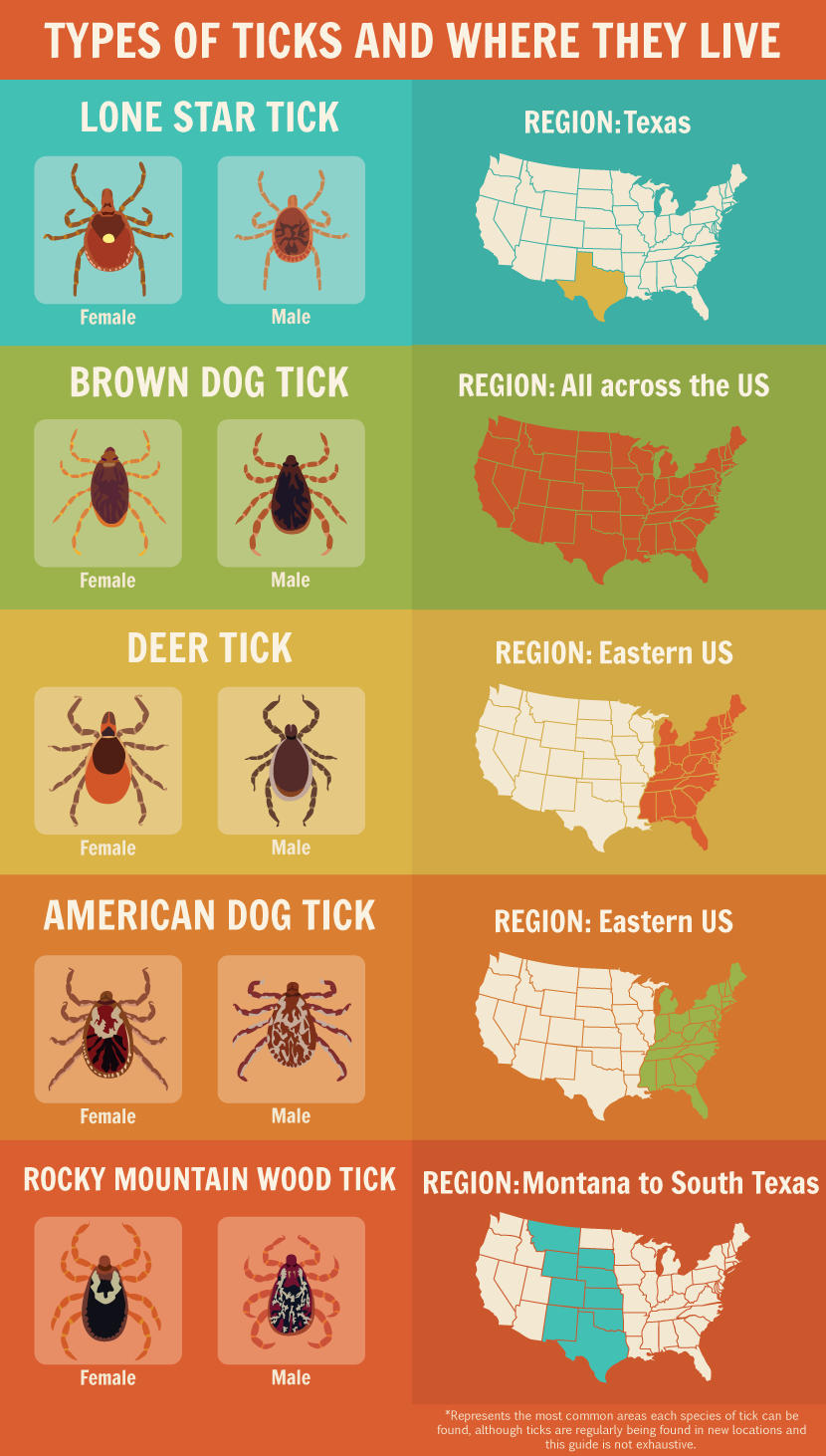 Regional Tick Guide