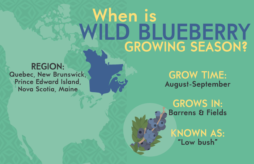 Wild Blueberry Growing Season
