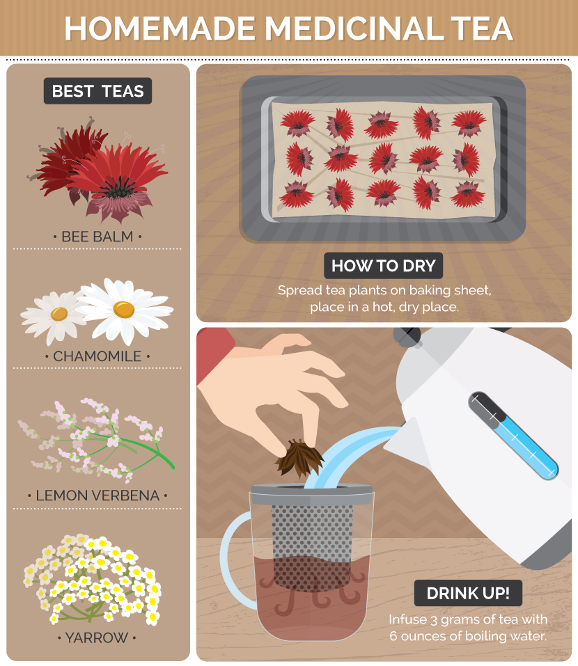 Guide to Making Homemade Medicinal Tea
