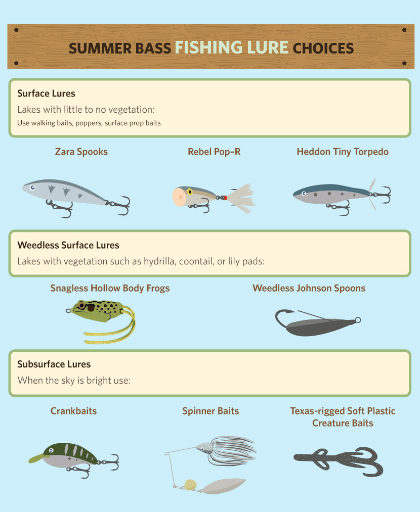 Catching Summer Bass: Lure Choices for Summer Bass