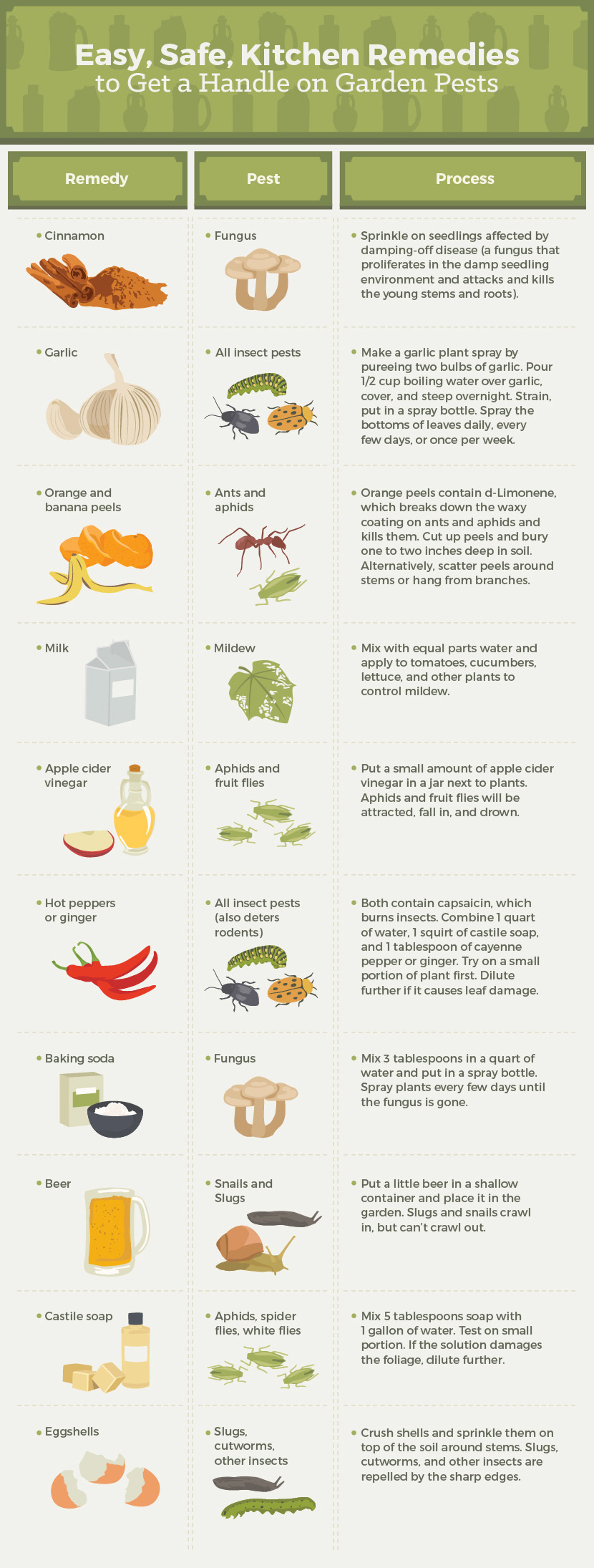 Kitchen Remedies for Garden Pests