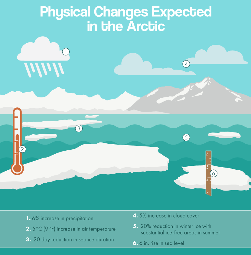 Physical Changes Expected in the Arctic