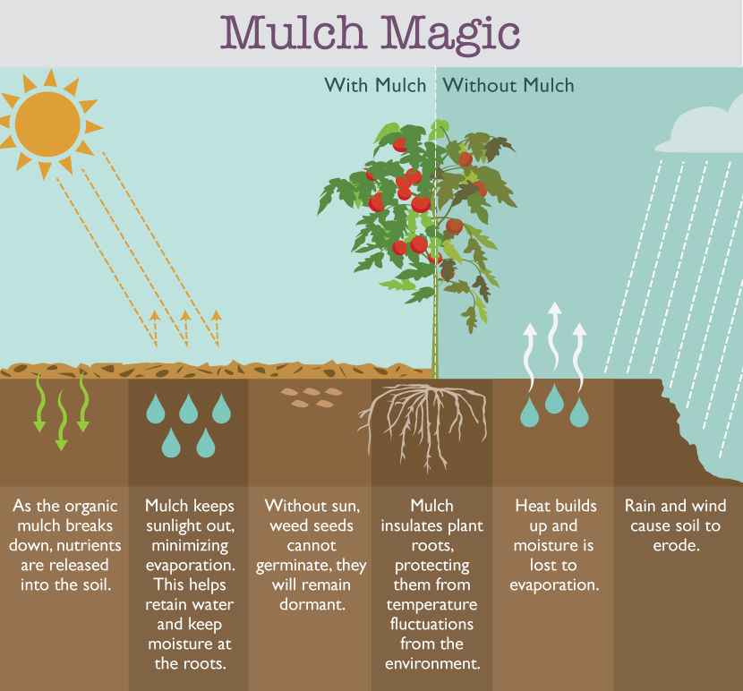 How Mulch Works