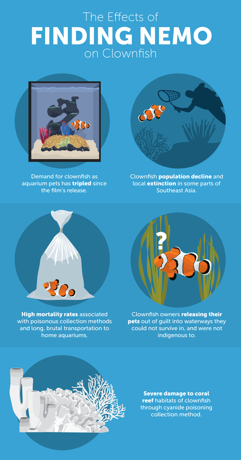 Losing Nemo and Dory - The Effects of Finding Nemo on Clownfish