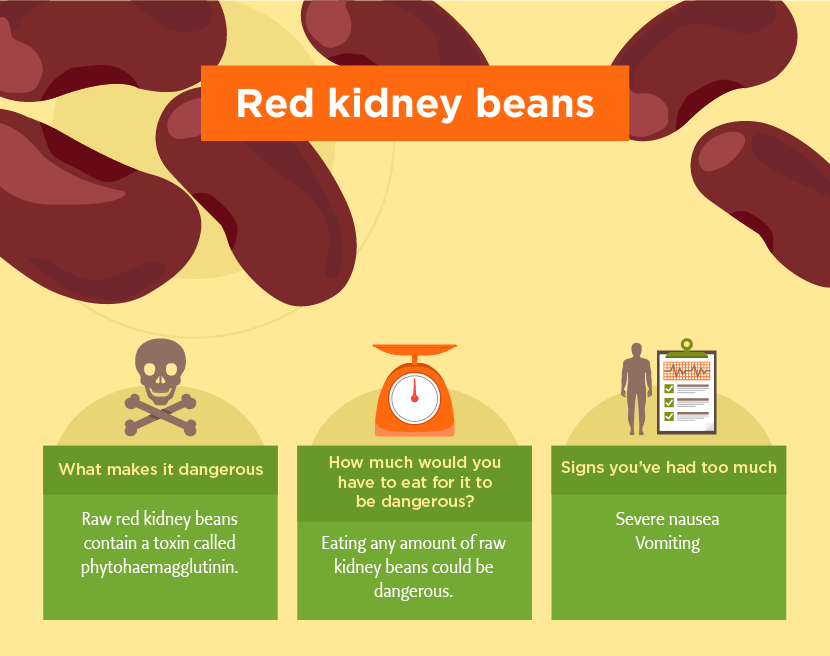 Red Kidney Beans Can be Toxic - Toxic Foods