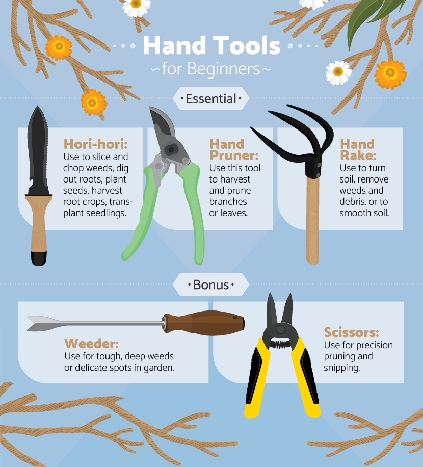 Hand Tools For Beginners - Essential Tools for Beginner Gardeners