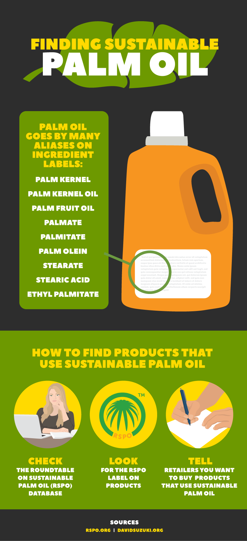 Finding Sustainable Palm Oil - The Perils of Palm Oil