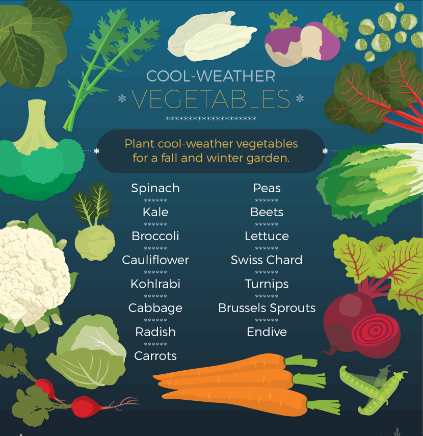 Cool Weather Vegetables - Protect Plants from Frost