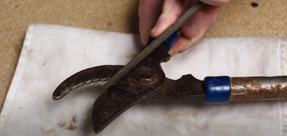 Sharpen Pruner - Garden Tool Readiness