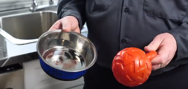 Pet Toys - Items You Didn't Know You Could Put in Your Dishwasher