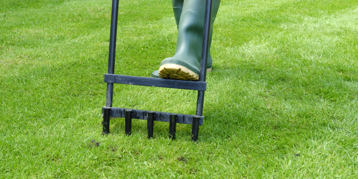 Lawn Care Basics: When to Aerate