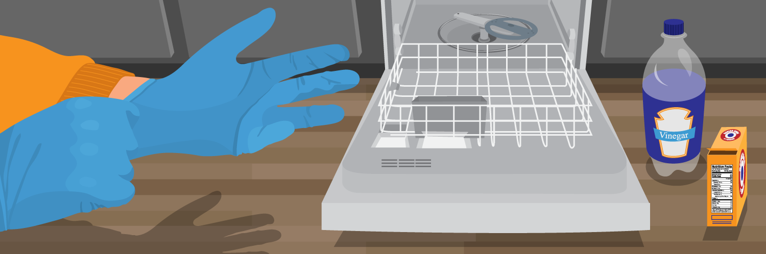 How To Get a Squeaky-Clean Dishwasher!