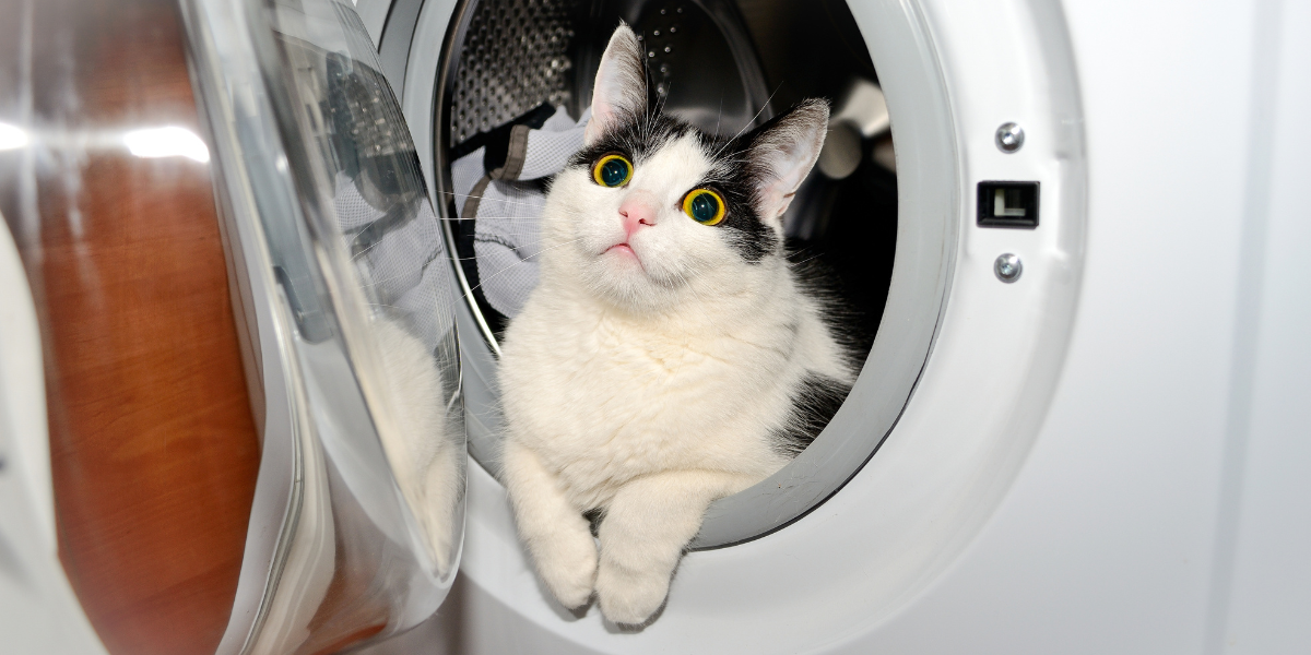 How to Fix Your Smelly Washer: Keep the Washer Door Open
