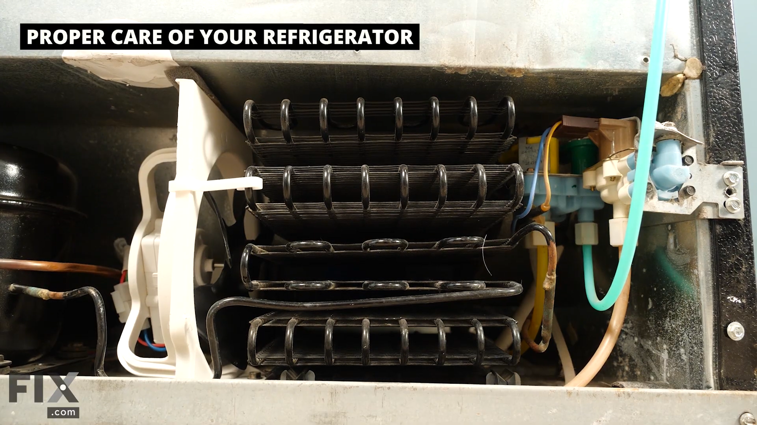 Looking into the back of a refrigerator, with metal coils, compressor and tubing assembly visible.