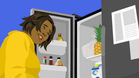 Proper Use and Care of Your Refrigerator