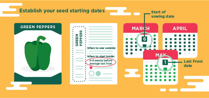 Seed Starting For Real People - Starting Dates