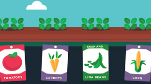 Seed Starting For Real People