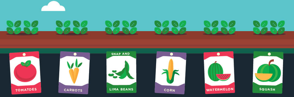 Seed Starting For Real People