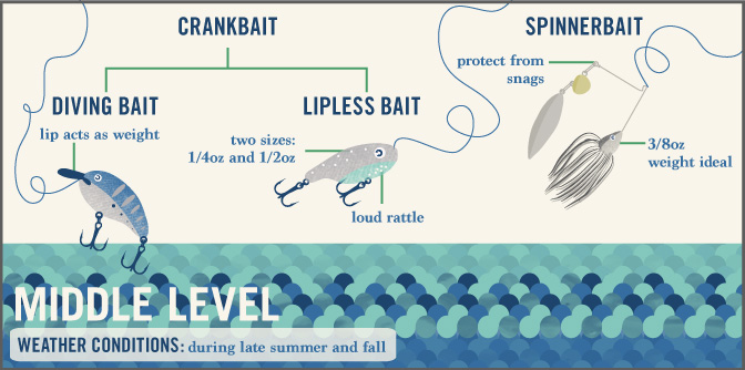 Tackling Bass Lure Basics - Diving, Spinner, Lipless Bait