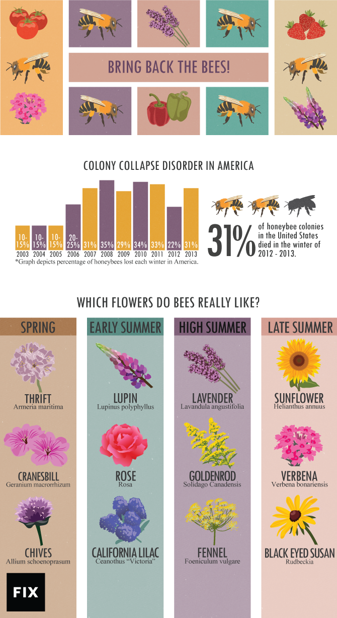Planting For Bees: Which Flowers Do Bees Really Like?
